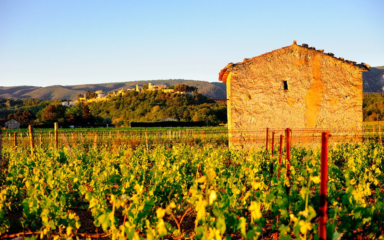 Vignes - Cabanon - Domaine de la Citadelle