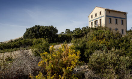 Villa Bellevue : deux nouveautés gourmandes à Château Calissanne