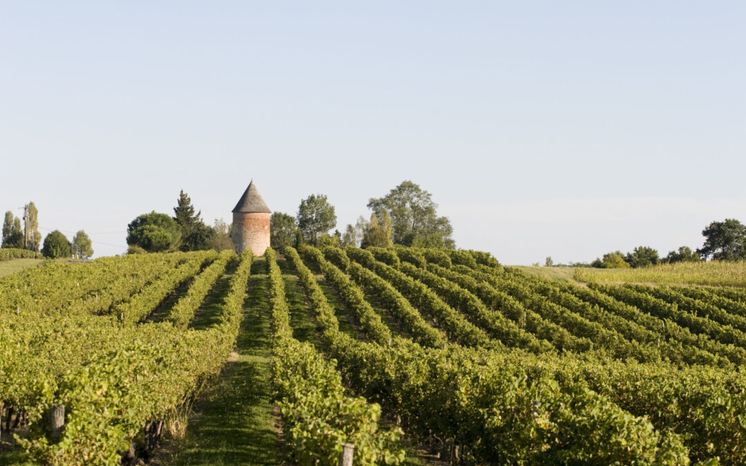 LABALLE : ARMAGNAC IS BACK  !