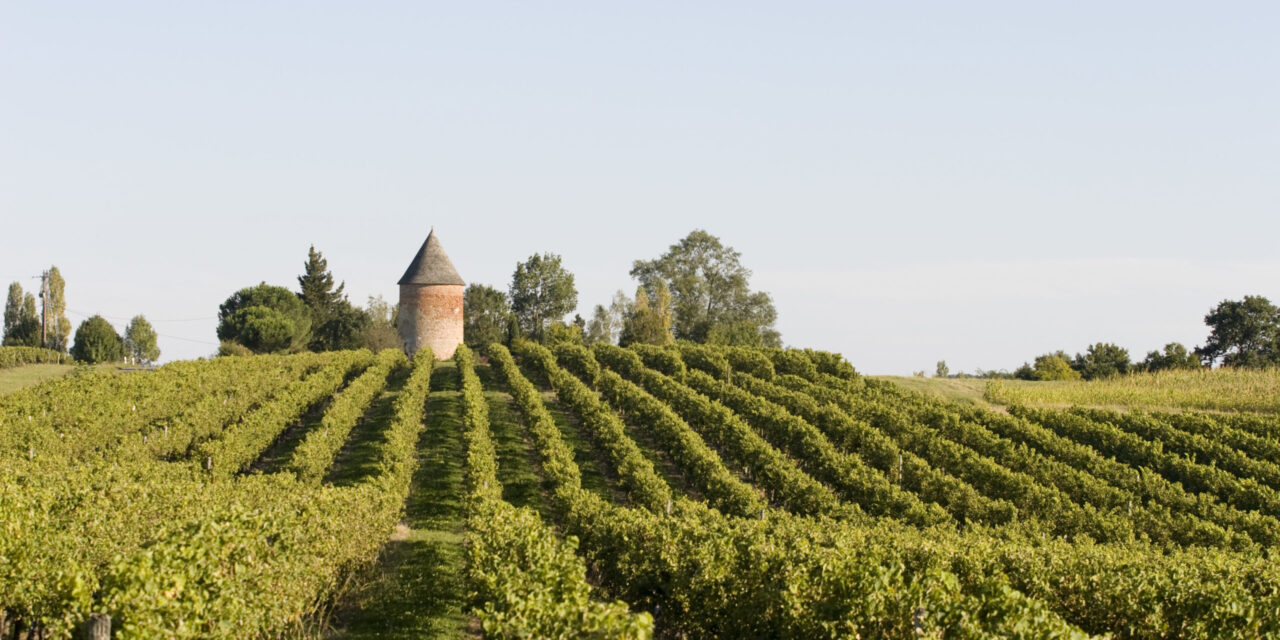 LABALLE : ARMAGNAC IS BACK  !