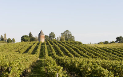 LABALLE : ARMAGNAC IS BACK  !
