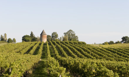LABALLE : ARMAGNAC IS BACK  !