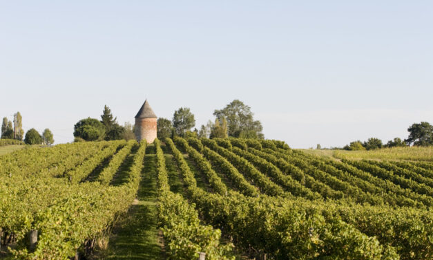 LABALLE : ARMAGNAC IS BACK  !
