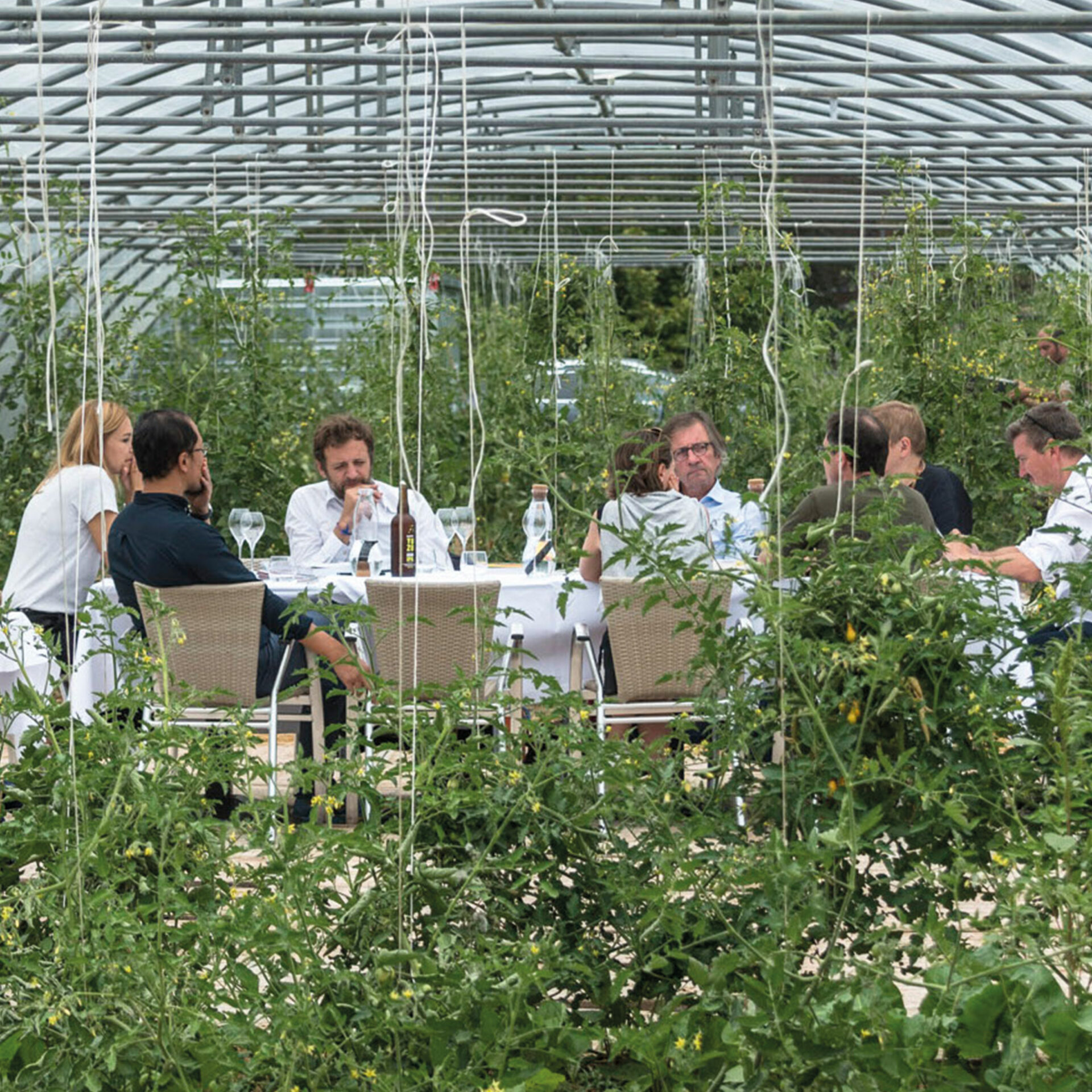 Groupe de discussion professionnel sous forme de table ronde sous une serre