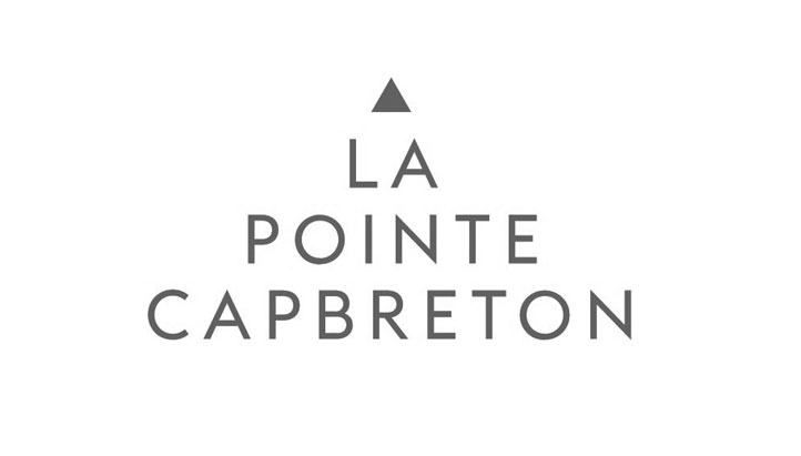 Logo du Domaine La Pointe Capbreton